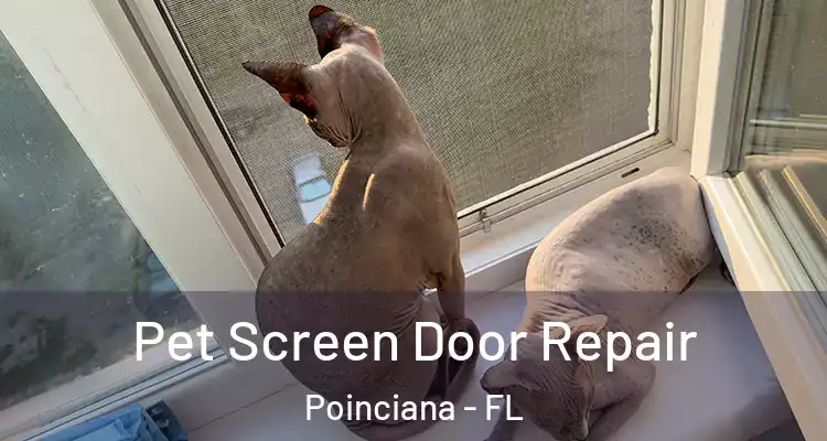  Pet Screen Door Repair Poinciana - FL